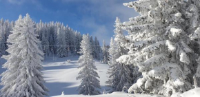 Apartmani Nina Košuta, Jahorina